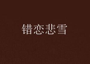 超三国无双2