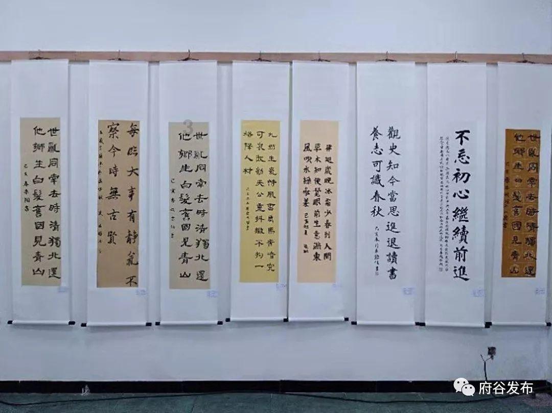贵州省疾控中心:构筑健康屏障 增进民生福祉